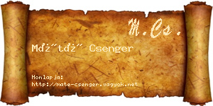 Máté Csenger névjegykártya